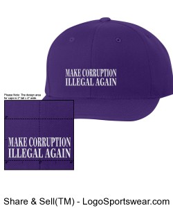 ANTI-CORRUPTION CAP (purple) Design Zoom
